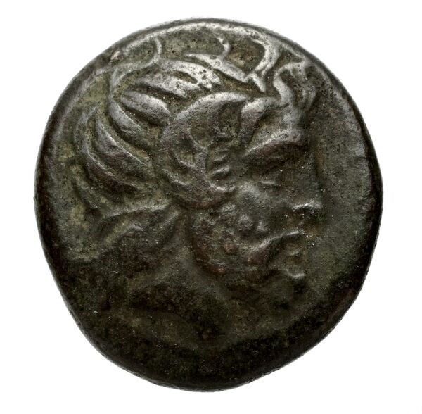 Aphytis AMNG III.2 14, аверс, bnf-iris