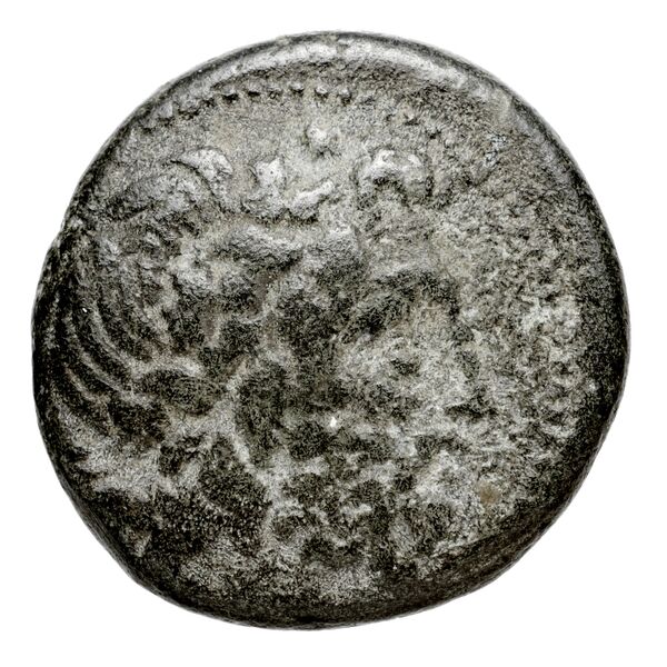 Pella AMNG III.2 8, аверс, bnf-iris