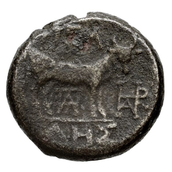 Pella AMNG III.2 8, реверс, bnf-iris