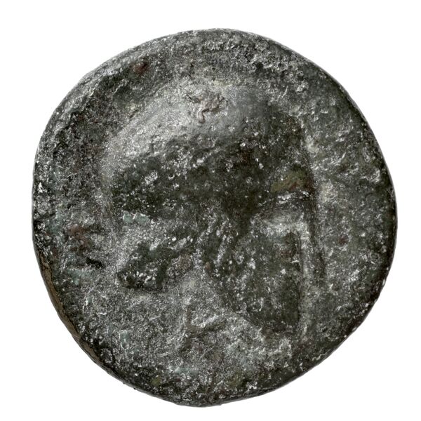 Scione AMNG III.2 7, реверс, bnf-iris