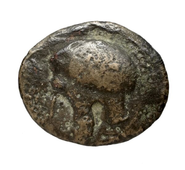 Cassander Macedon AMNG III.2 10, аверс, bnf-iris