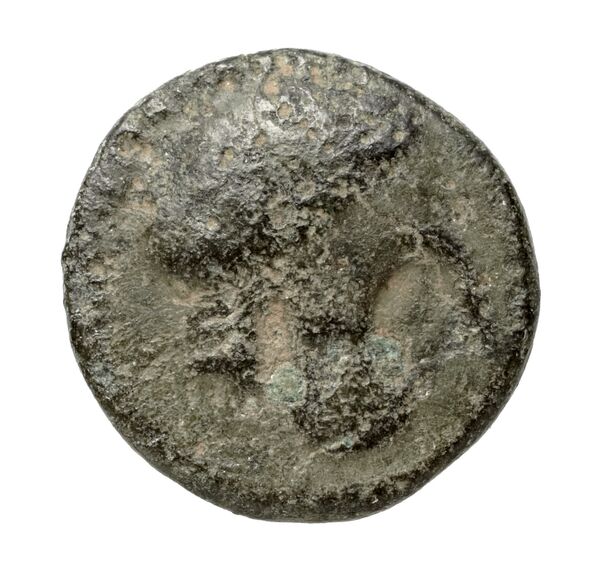 Cassander Macedon AMNG III.2 10, аверс, bnf-iris