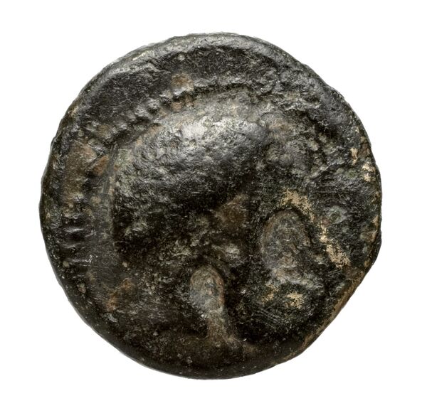 Cassander Macedon AMNG III.2 10, аверс, bnf-iris