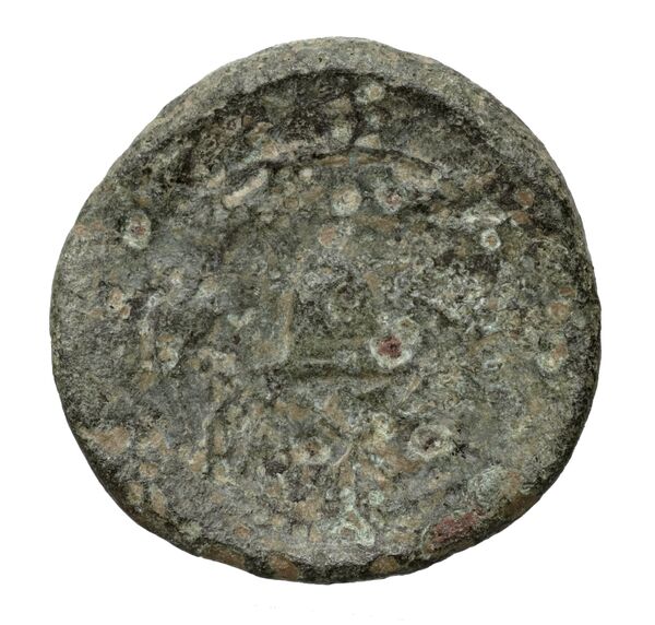 реверс Pyrrhus Pella BMC Pyrrhus 36-39