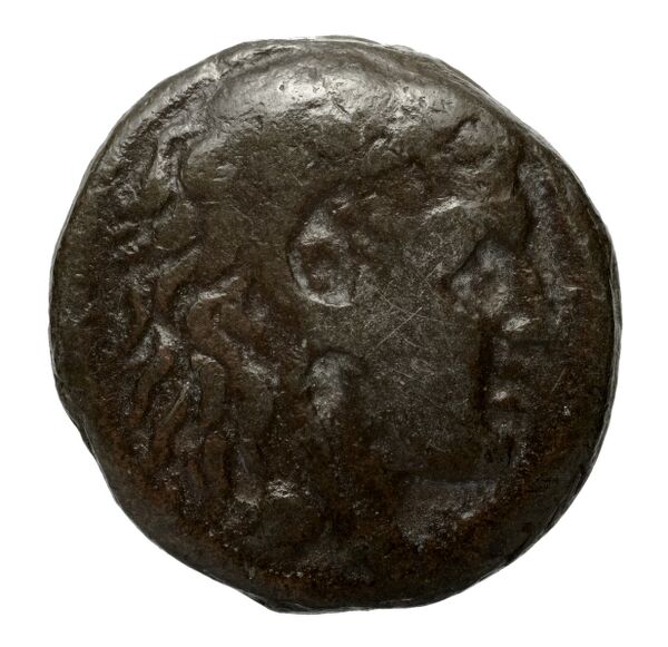 Philip V Macedon AMNG III.2 12, аверс, bnf-iris