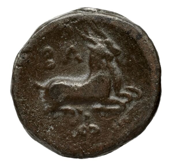 Philip V Macedon AMNG III.2 12, реверс, bnf-iris