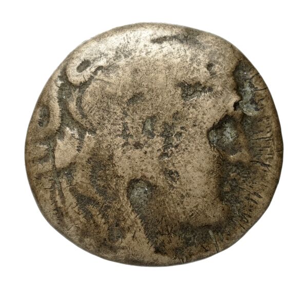 Philip V Macedon AMNG III.2 12, аверс, bnf-iris
