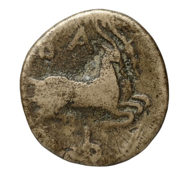 Philip V Macedon AMNG III.2 12, реверс, bnf-iris