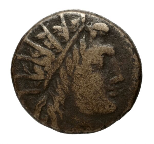 Philip V Macedon AMNG III.2 25, аверс, bnf-iris