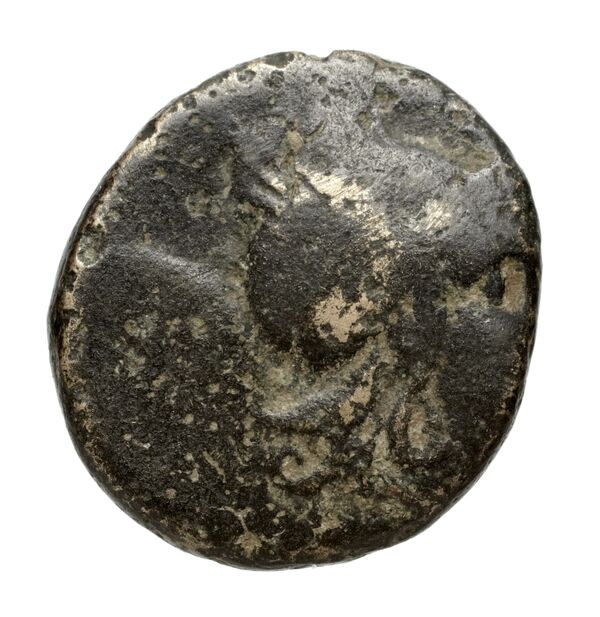 Philip V Macedon AMNG III.2 30, аверс, bnf-iris