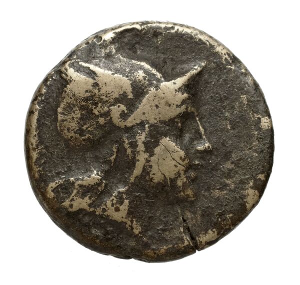 Philip V Macedon AMNG III.2 30, аверс, bnf-iris