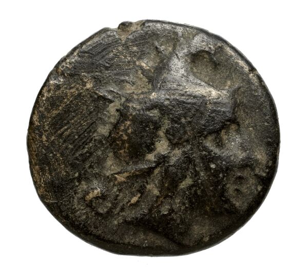 Philip V Macedon AMNG III.2 30, аверс, bnf-iris