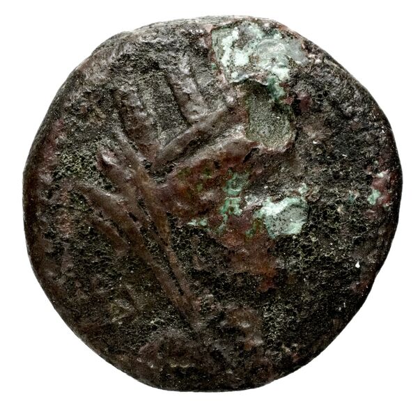 Sidon Hoover 2010 289, 291, аверс, bnf-iris