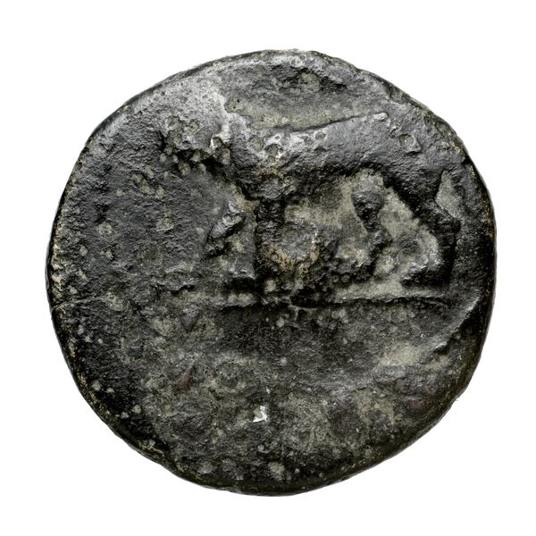 Euagoras II of Salamis Salamis BMC Salamis 69-73, аверс, bnf-iris