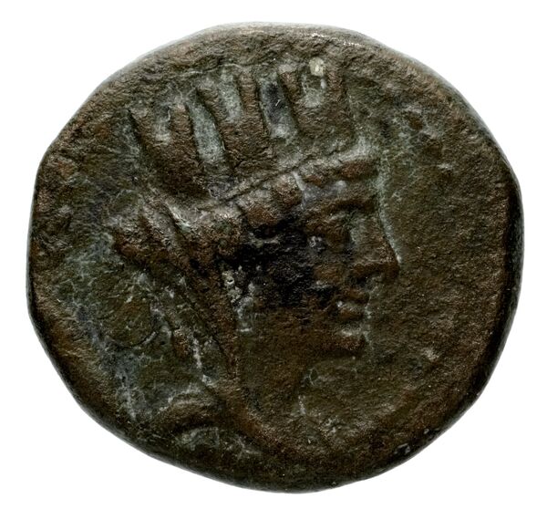Laodicea ad Mare BMC Laodiceia ad Mare 1-3, аверс, bnf-iris