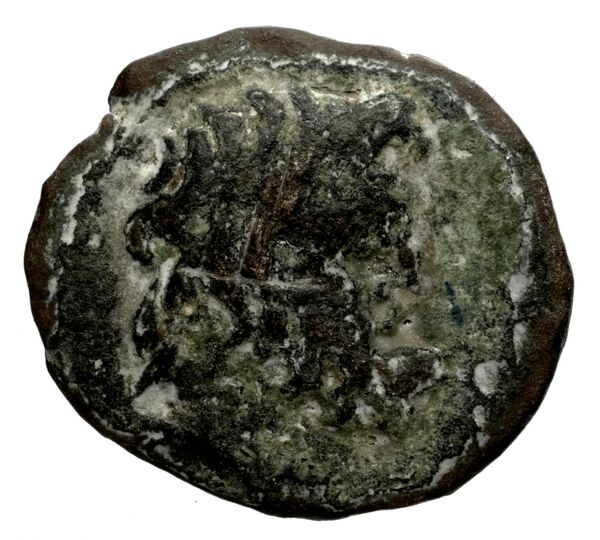 Laodicea ad Mare SNG Copenhagen Laodicea 335, аверс, bnf-iris