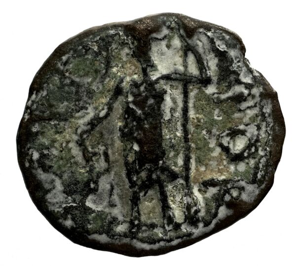 Laodicea ad Mare SNG Copenhagen Laodicea 335, реверс, bnf-iris