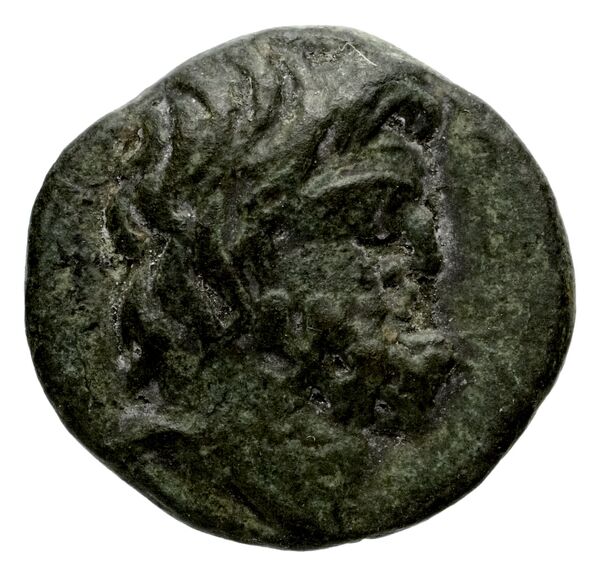 Laodicea ad Mare SNG Copenhagen Laodicea 335, аверс, bnf-iris