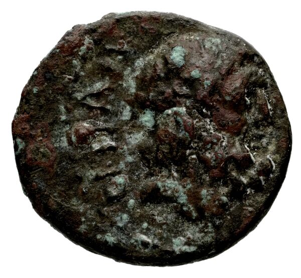 Laodicea ad Mare SNG Copenhagen Laodicea 335, аверс, bnf-iris