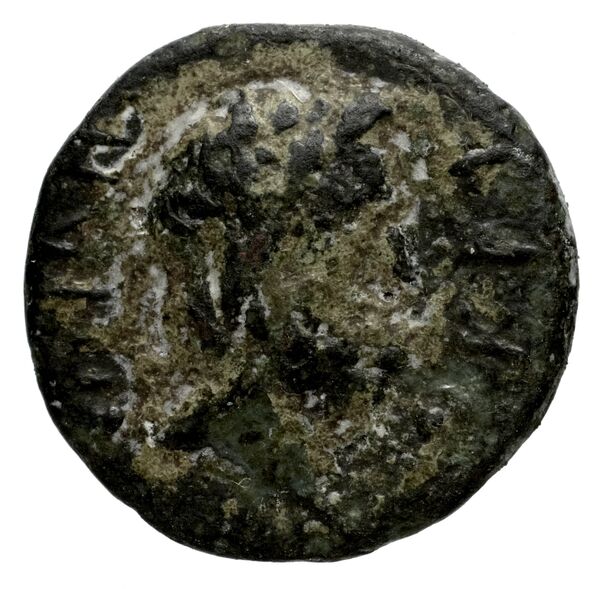 Laodicea ad Mare SNG Copenhagen Laodicea 335, аверс, bnf-iris