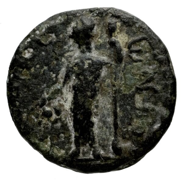 Laodicea ad Mare SNG Copenhagen Laodicea 335, реверс, bnf-iris
