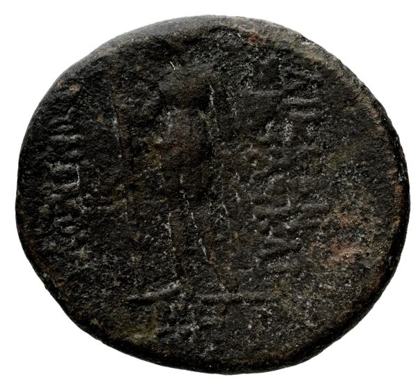Laodicea ad Mare BMC Laodiceia ad Mare 12, реверс, bnf-iris