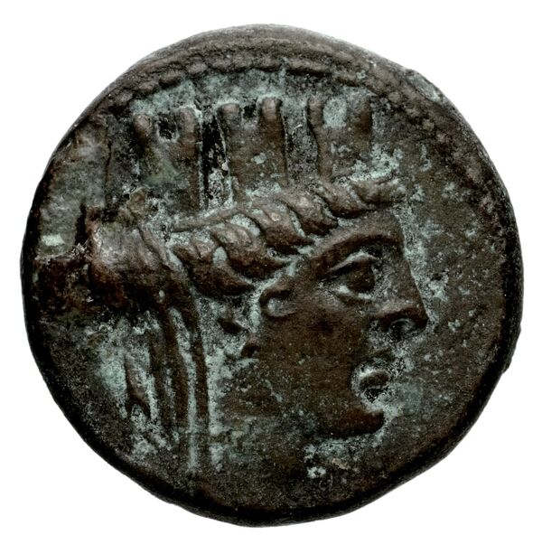 Laodicea ad Mare BMC Laodiceia ad Mare 1-3, аверс, bnf-iris
