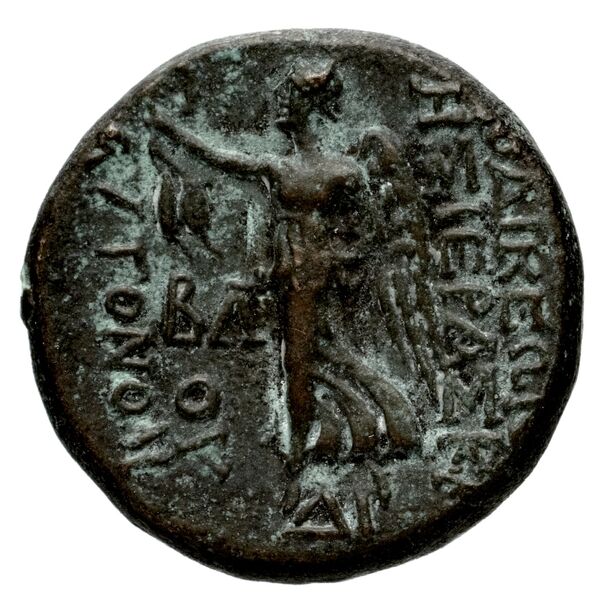 Laodicea ad Mare BMC Laodiceia ad Mare 1-3, реверс, bnf-iris