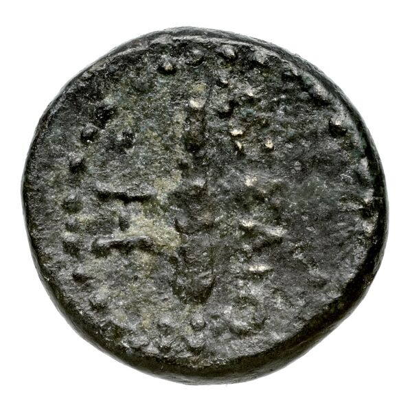 coin rev