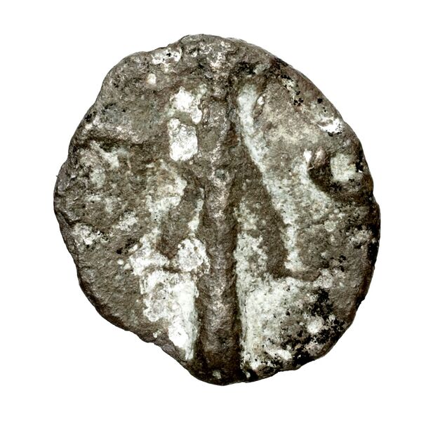 Polyrhenium Stefanakis 2013 58-101, реверс, bnf-iris