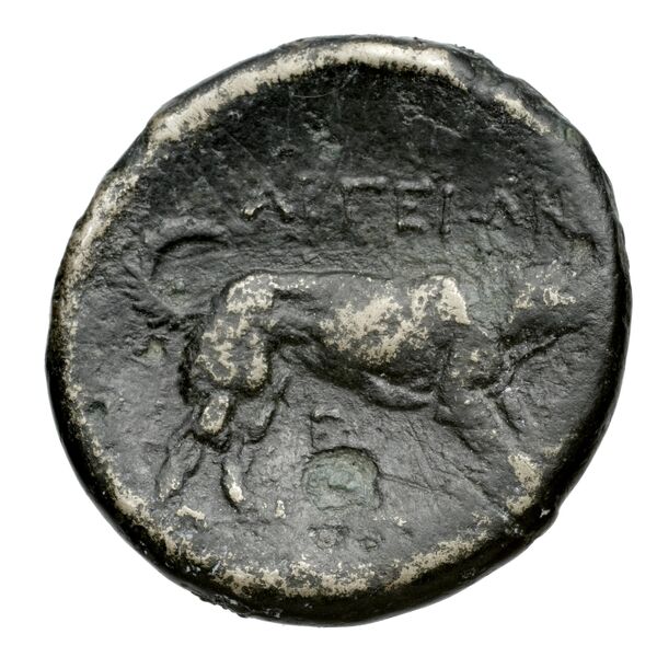 Argos Amphilochicum BMC Argos Amphilochicum 1-7, реверс, bnf-iris