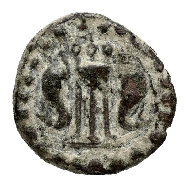 Megara BMC Megara 30-34, реверс, bnf-iris
