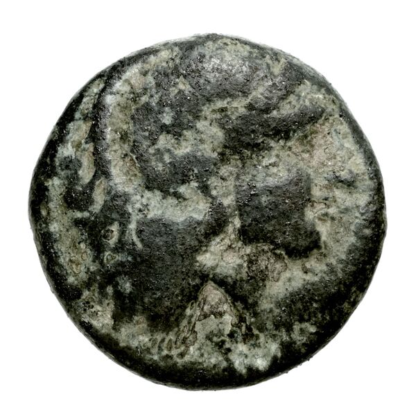 Heraea BMC Heraea Heraea 19-27, аверс, bnf-iris