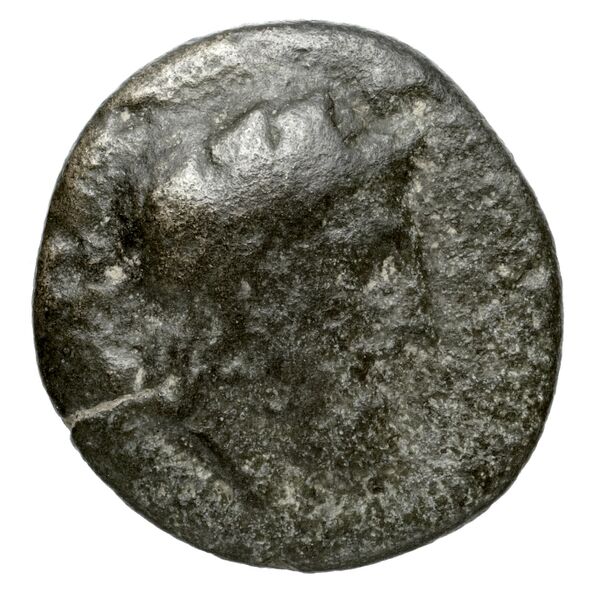 Peparethus Rogers 1932 559, аверс, bnf-iris