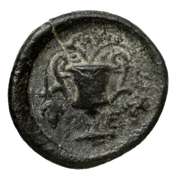 Peparethus Rogers 1932 559, реверс, bnf-iris
