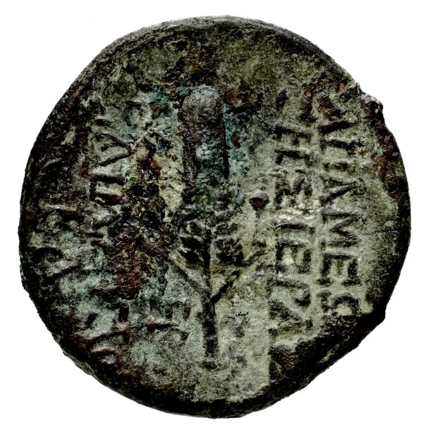 Apameia in Syria BMC Apamea 4, реверс, bnf-iris