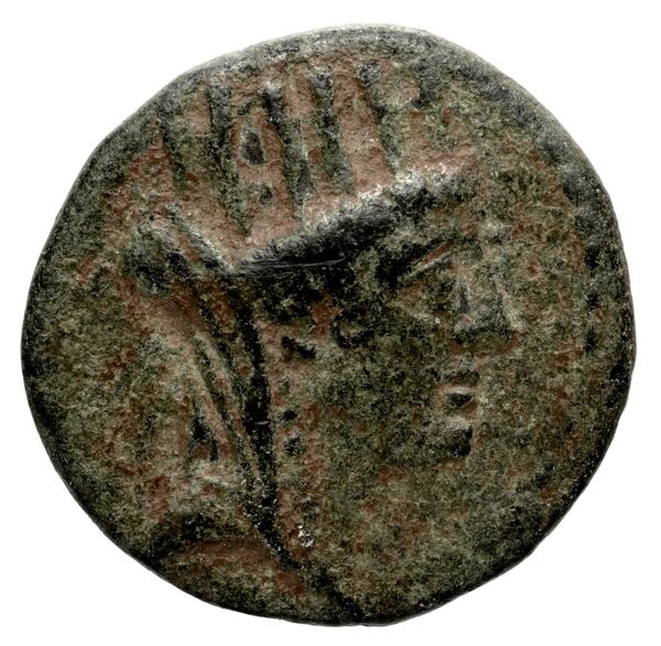 Apameia in Syria SNG Munich 803-5, аверс, bnf-iris
