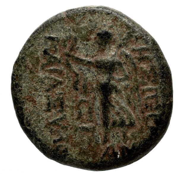Apameia in Syria SNG Munich 803-5, реверс, bnf-iris