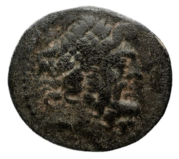 Apameia in Syria BMC Apamea 3, 5, 14, аверс, bnf-iris