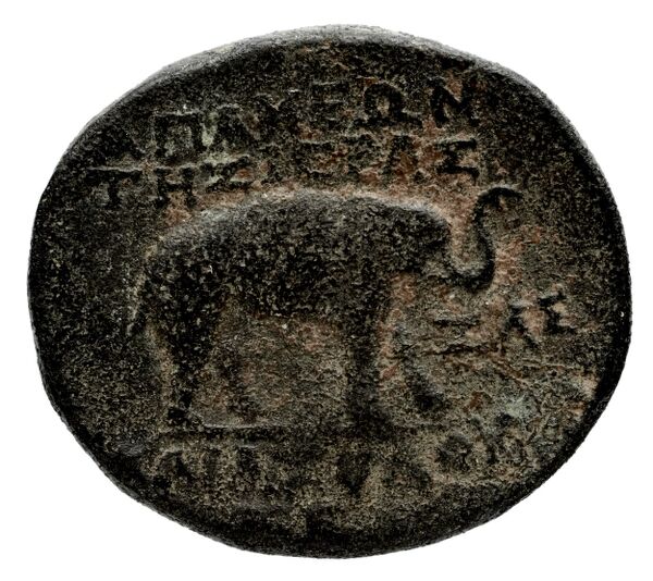 Apameia in Syria BMC Apamea 3, 5, 14, реверс, bnf-iris