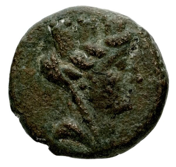 Laodicea ad Mare BMC Laodiceia ad Mare 1-3, аверс, bnf-iris
