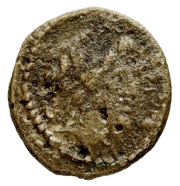 Ptolemais-Ake Kadman 1961 11-44, аверс, bnf-iris