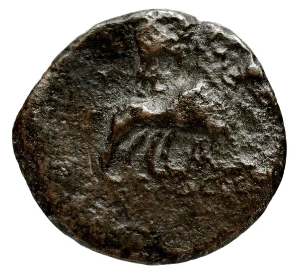 Orthosia BMC Orthosia 1, реверс, bnf-iris