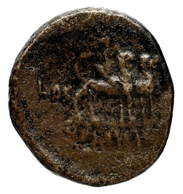 Orthosia BMC Orthosia 1, реверс, bnf-iris