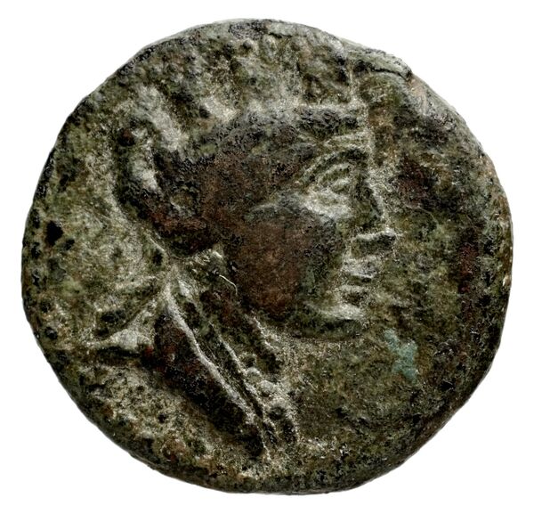 Orthosia BMC Orthosia 1, аверс, bnf-iris