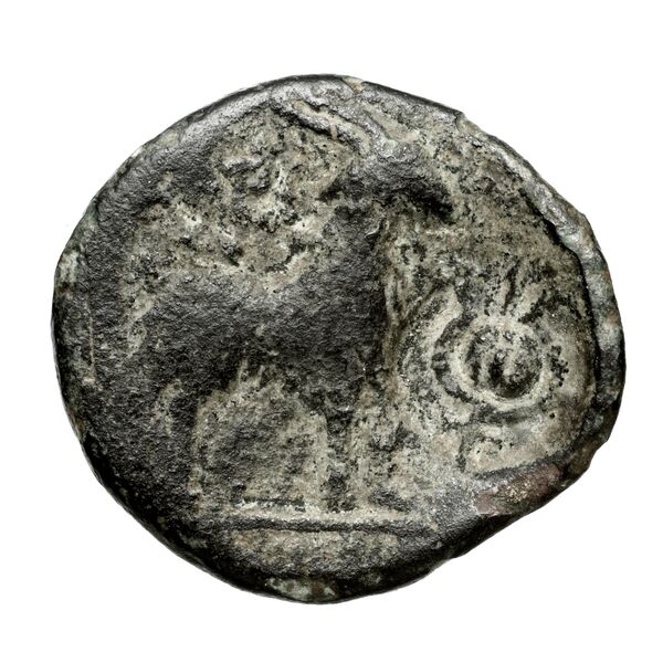 Paros Tully 2013 Dichalka, group 2 = 2B.2, реверс, bnf-iris