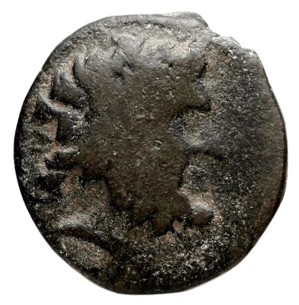 Ptolemy of Chalcis Chalcis sub Libano Herman 2006 4, аверс, bnf-iris