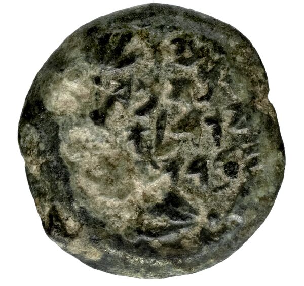 Alexander Jannaeus Jerusalem Hendin 2010 1144-1146, аверс, bnf-iris