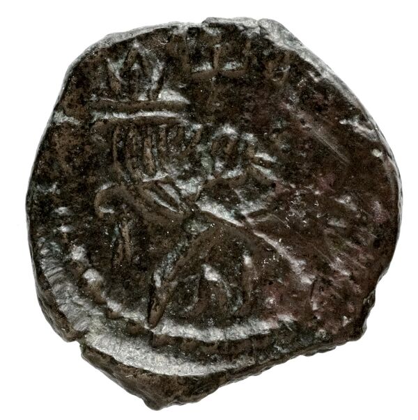 Aretas IV of Nabataea Petra Barkay 2019 186, 188, реверс, bnf-iris