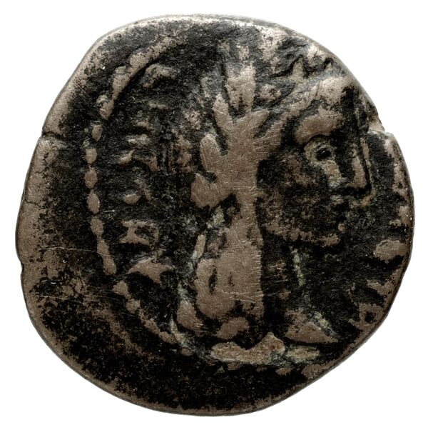 Aretas IV of Nabataea Petra Barkay 2019 133,137, аверс, bnf-iris